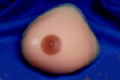 �ȥ�󥹥ե����ࡦ���饷�å�������