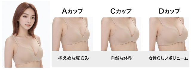Aカップ、Cカップ、Dカップ