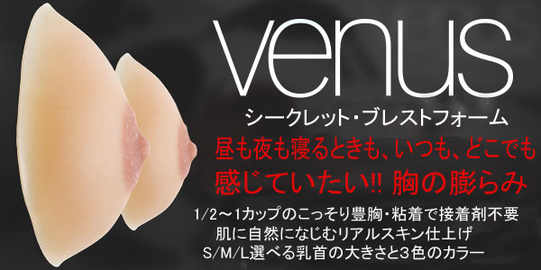ヴィーナスバナー